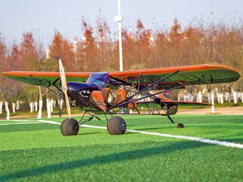 Pichler arf flugmodell savage - arf,