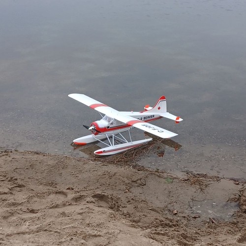 Flugmodell beaver mit - flugmodell,
