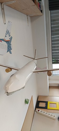 Selbst gebautes flugzeug - selbst, –